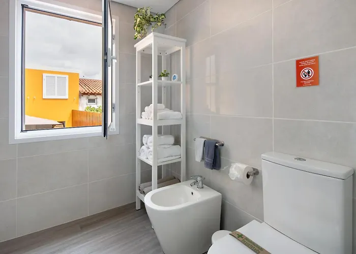 V L P Amorim ポンタ・デルガダ